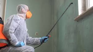 Best Mold Remediation for Healthcare Facilities  in Highland, AR