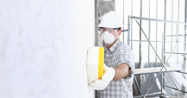 Best Environmental Consulting for Mold Prevention  in Highland, AR